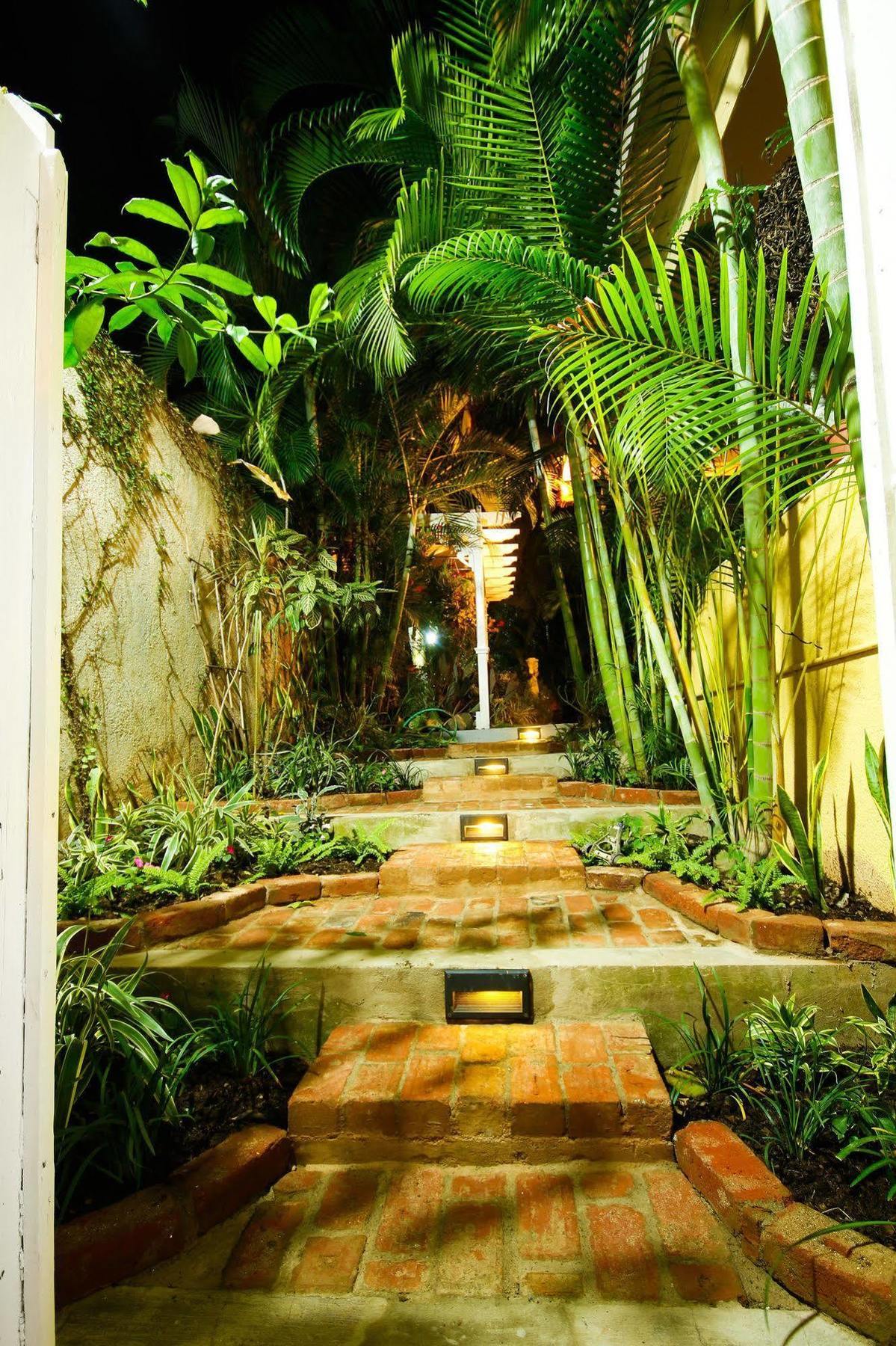 Cattleya Luxury Suites Kingston Exterior foto